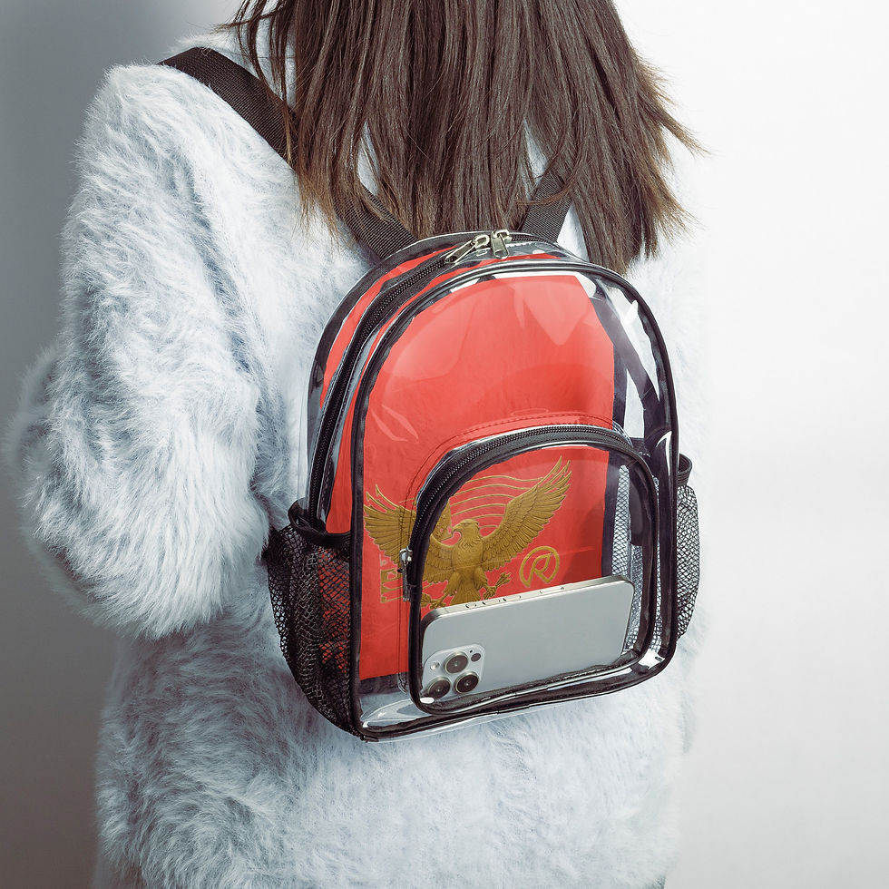 Thumbnail: 1221. Rachvid Red Transparent Backpack Mini