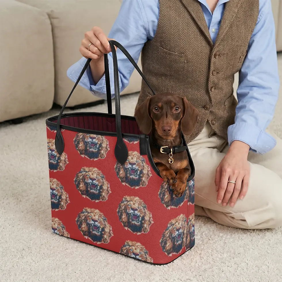 Thumbnail: 1451. Isi-Agu Multifunctional Side-Open Pet Tote Bag