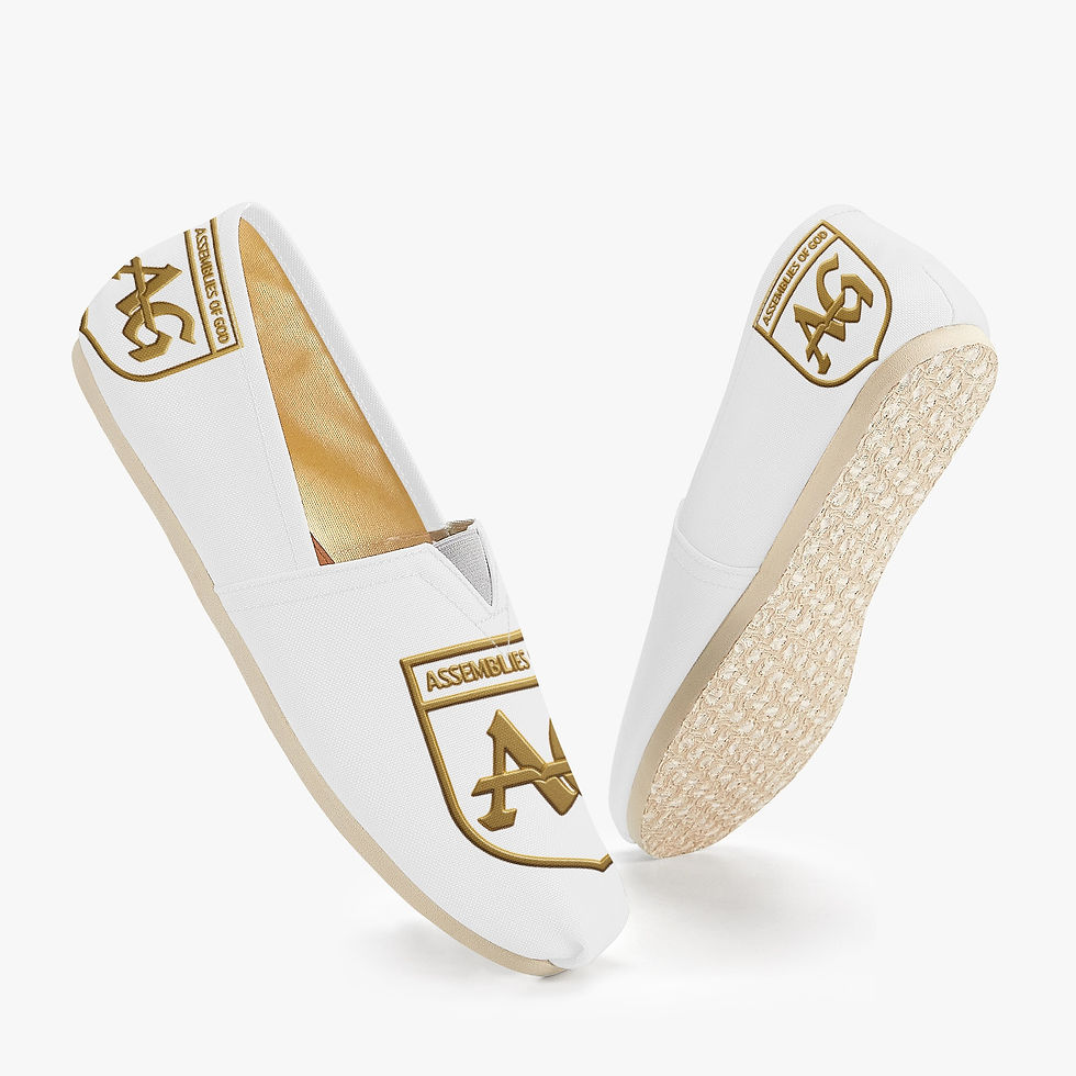 Thumbnail: 1065. Rachvid IAG White Canvas Toms Shoes