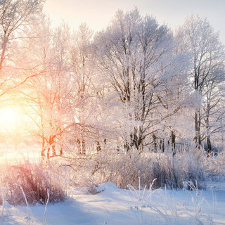 winter.jpeg