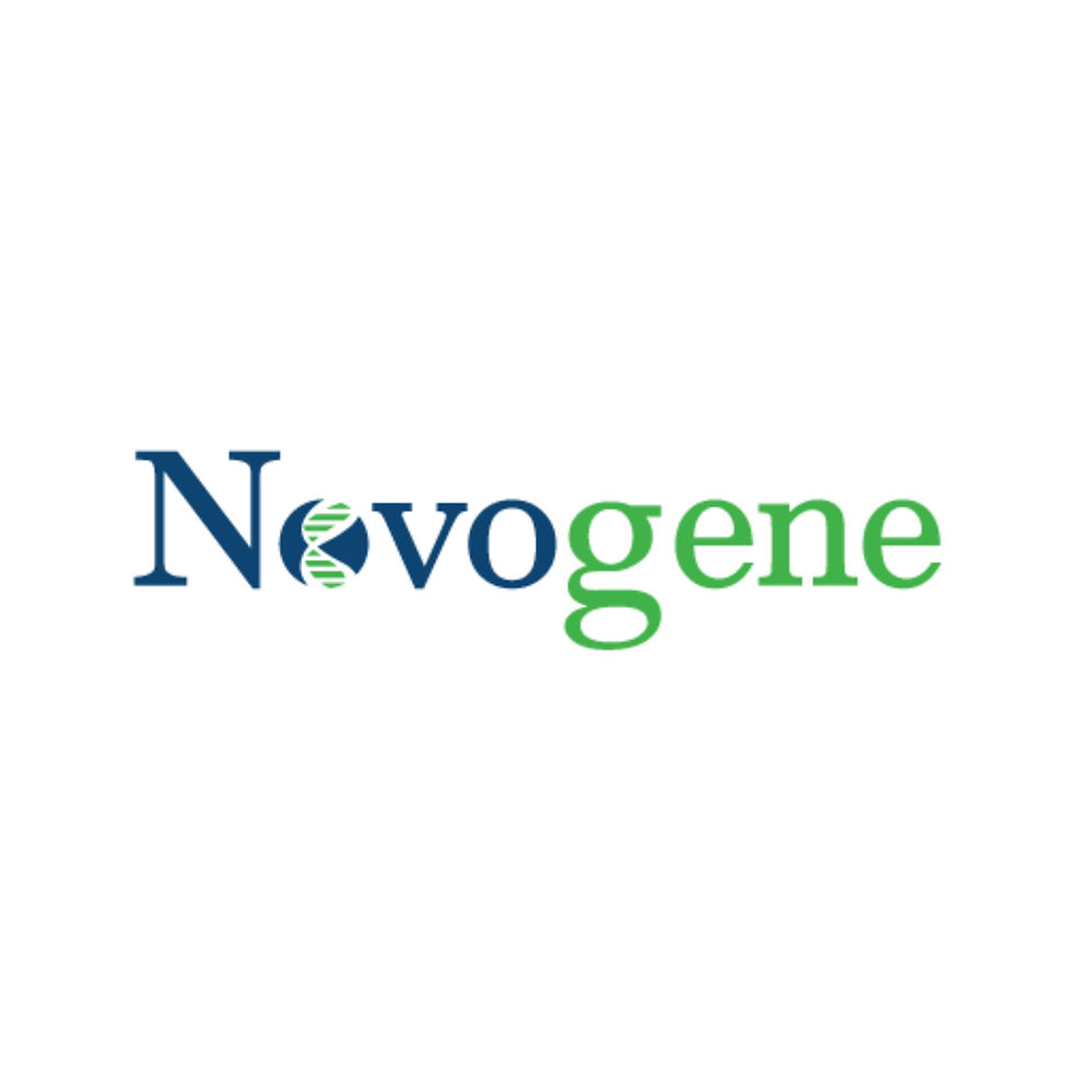 Novogene Logo