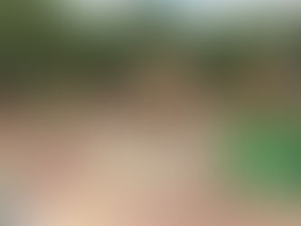 Update on Central Park Playground