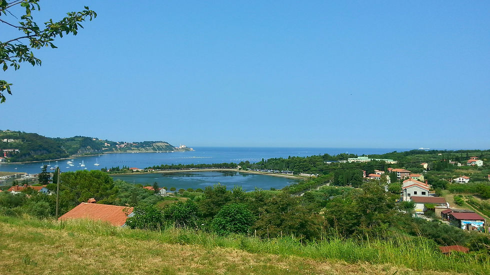 Strunjan Nature Park