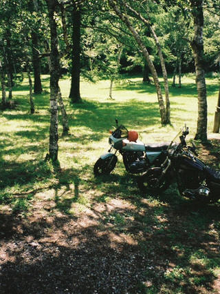 Sams Choppers Co.｜カスタムバイクとグッズの公式サイト