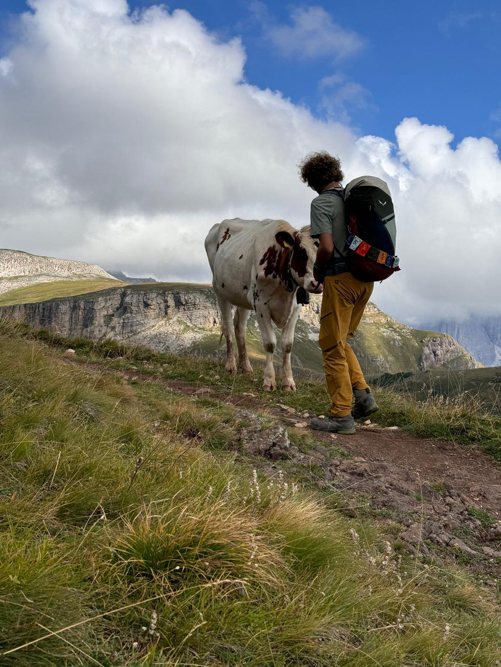 b571f97e-8c2a-46bc-873b-a340c6cb9ac0