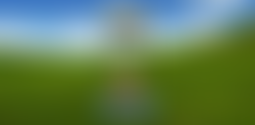 Pokemon GO Community Day!