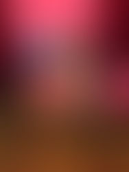 Chicago Girls Night Out