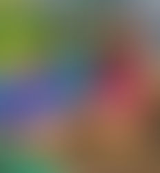 Memorial Weekend 2019