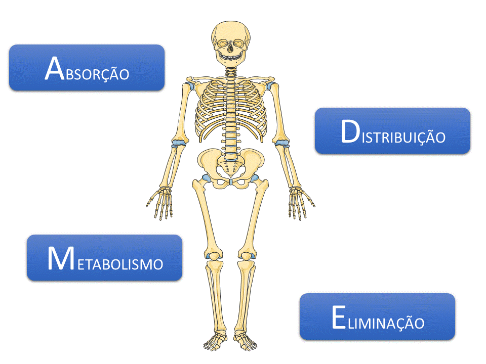 Toxicocinética