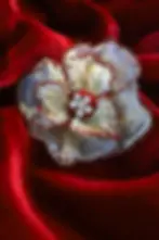 Camélia en broderie d’art en organza de soie, perles et cristaux brodé à la main sur velours de soie rouge.