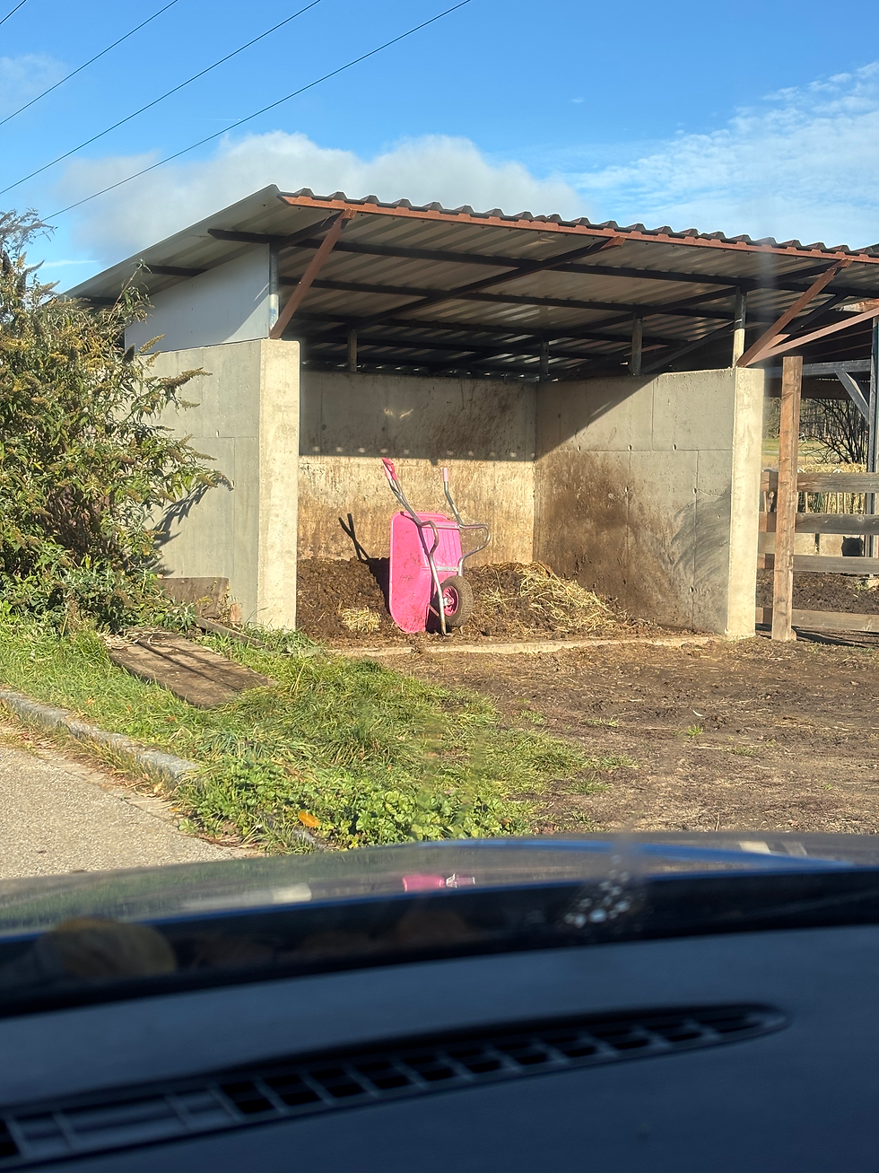 Ordnungscoach putzen wischen waschen