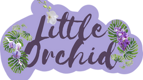 The journey of Little Orchid:
