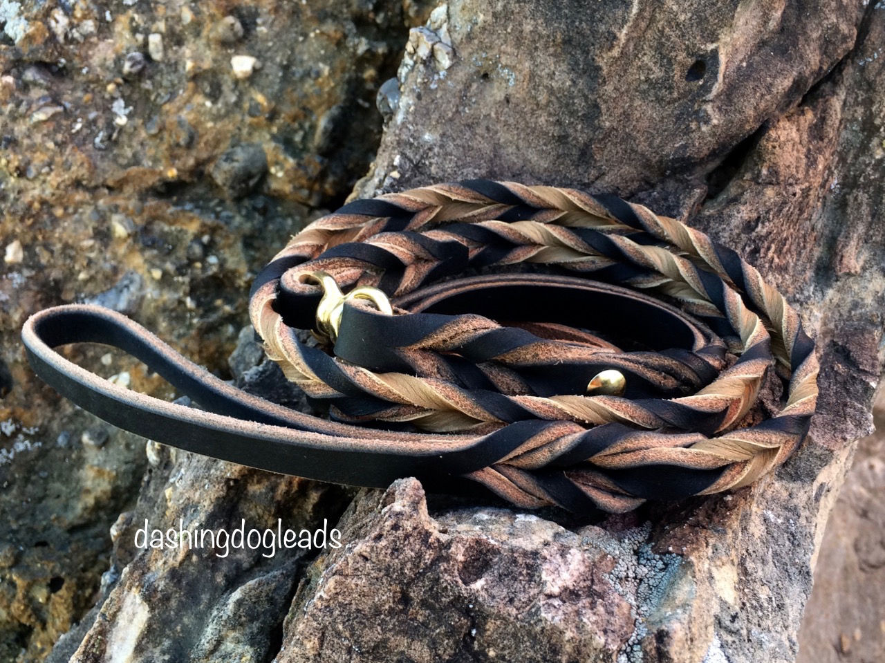 Black / Light Brown Martingale Lead