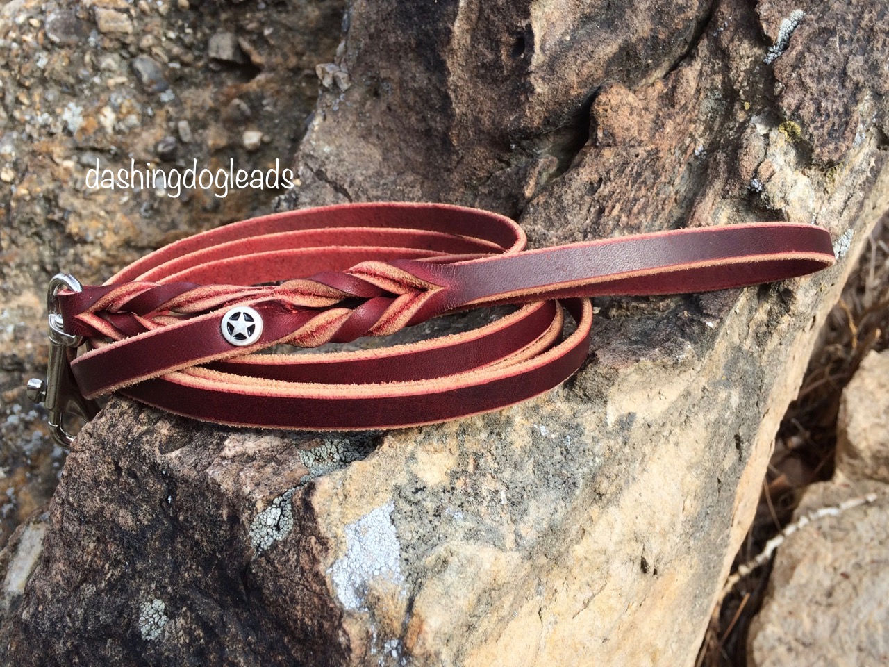 Burgundy 6' Rally Lead