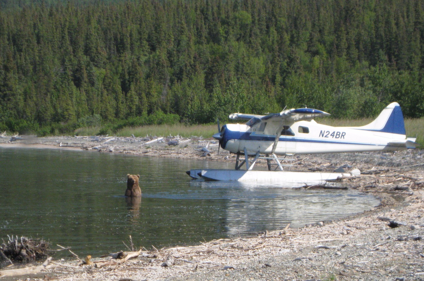 King Salmon Alaska Float Plane Service Branch River Air