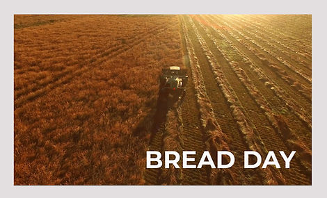 BREADPORTADA.jpg
