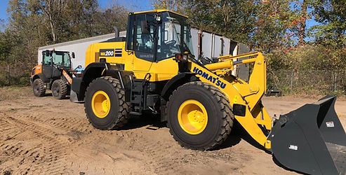 BIG YELLOW.jpg