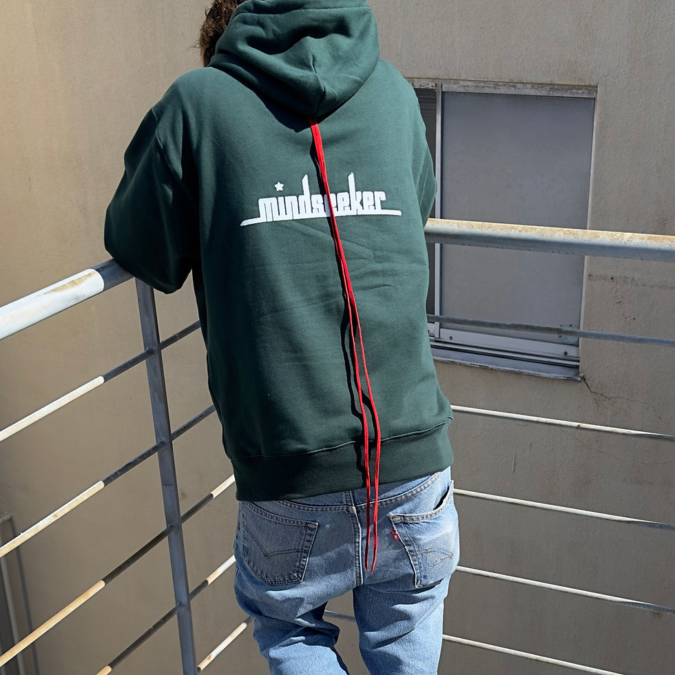 Thumbnail: THE END HOODIE / GREEN