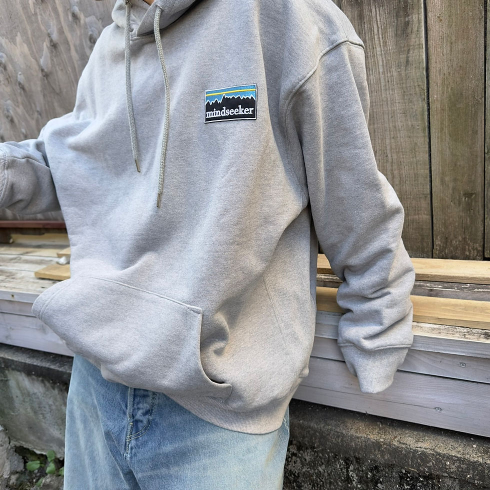 縮圖：Mountain Logo Hoodie / GRAY