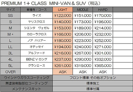 PREMIUM 1+ 2506 mini.jpg