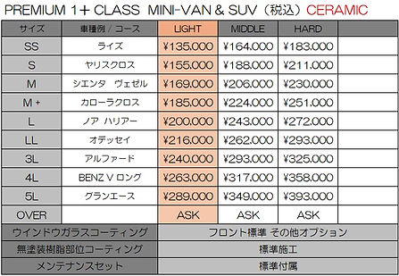 PREMIUM 1+ 2506 mini CE.jpg