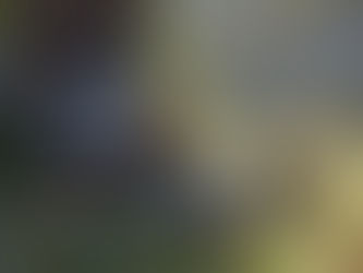 Връзката между автоимунните заболявания и травмата: Живот отвъд борбата.