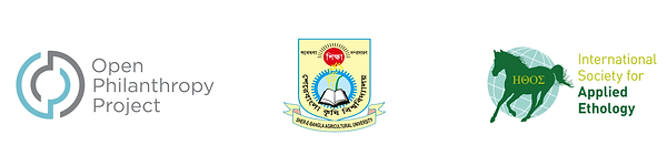 LOGO-3-sau.png