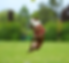 IMG_4784.png