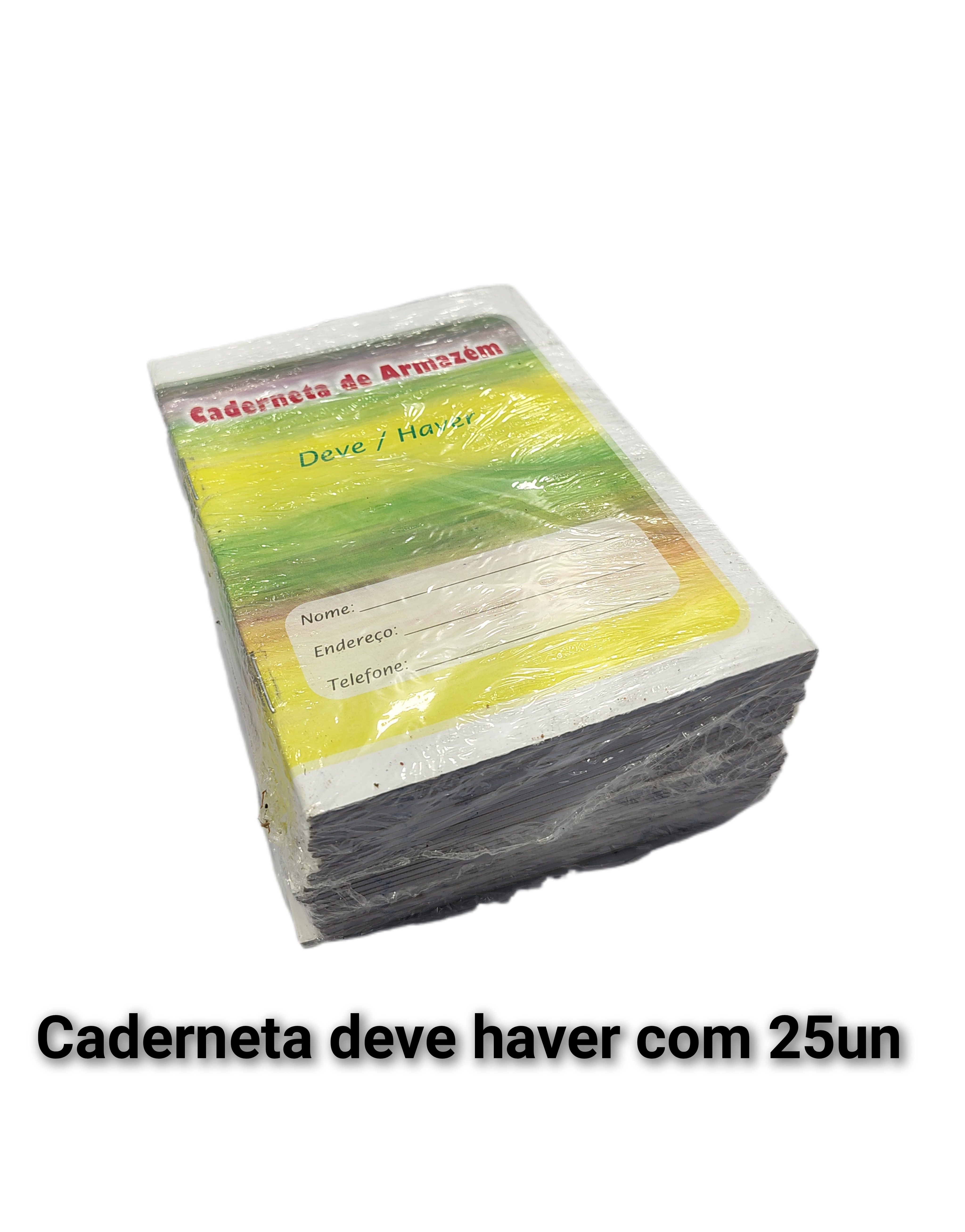 879-Caderneta deve haver com 25 unidades 