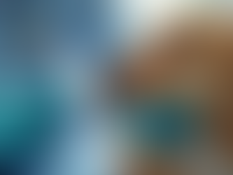 First time having pet? No worries we got you here!