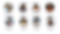 29.png