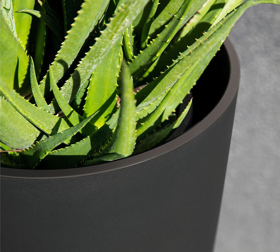 Thumbnail: Fergus Tall Planters(Black)
