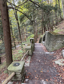 Paved pathway in the woods