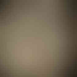 Clever log ceiling at Visitor Center media room