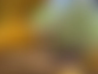 Hocking Hills! (Part 2) . . . But keep it on the Downlow!