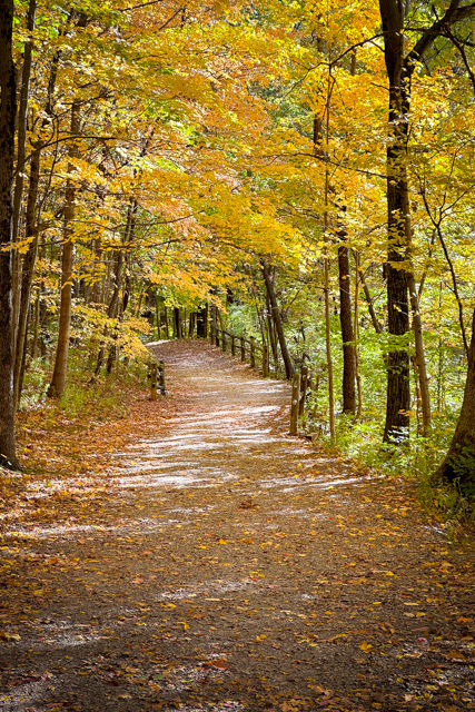 Fall Colors of Kentucky, Tennessee and Indiana
