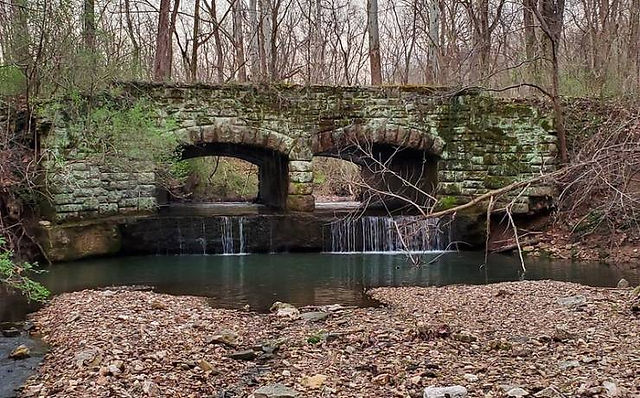 Bridge at Babler State Park 
