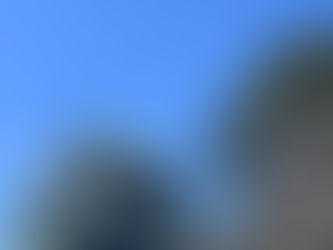 桜の名古屋城周辺🌸