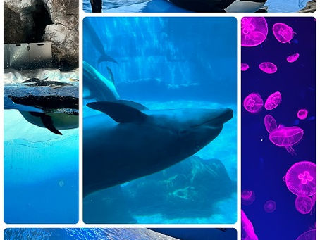 1日デート👭💗𝙸𝙽名古屋