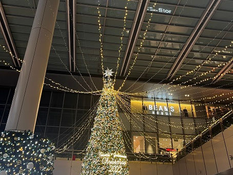 12月の予定あります?💗