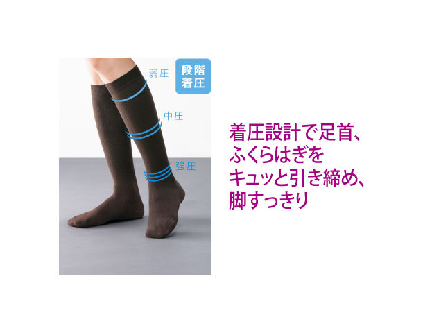 サムネイル： ハイソックス（ハードサポートタイプ）