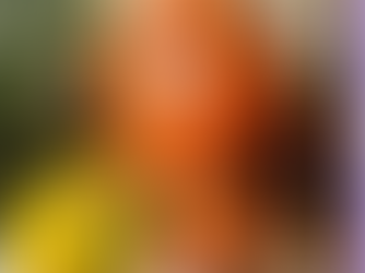 Falling for FWBC All Over Again: Reflecting on a Year of Community, Connection & Unforgettable Moments