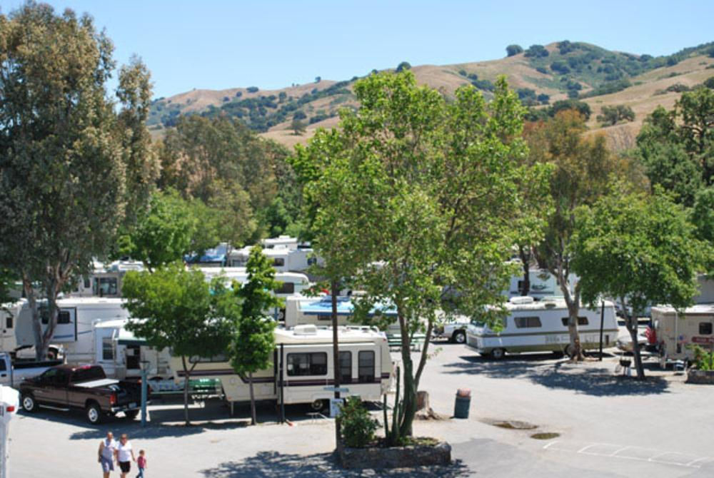 The Pioneer Camping Club