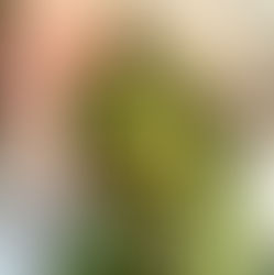 Planter og psykisk helse