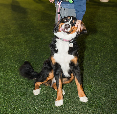 grandopening-137 (1).jpg