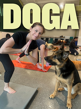 DOGA.png