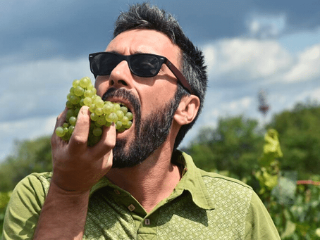 Zoom sur : Clos Troteligotte