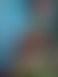 Marble Slab Creamery – Classic Scoops in a Nostalgic Stafford Corner