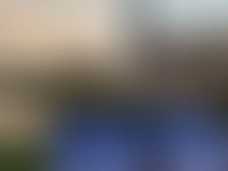 Sugar Land Memorial Park – A Quiet Escape of Water, Wildlife & Reflection