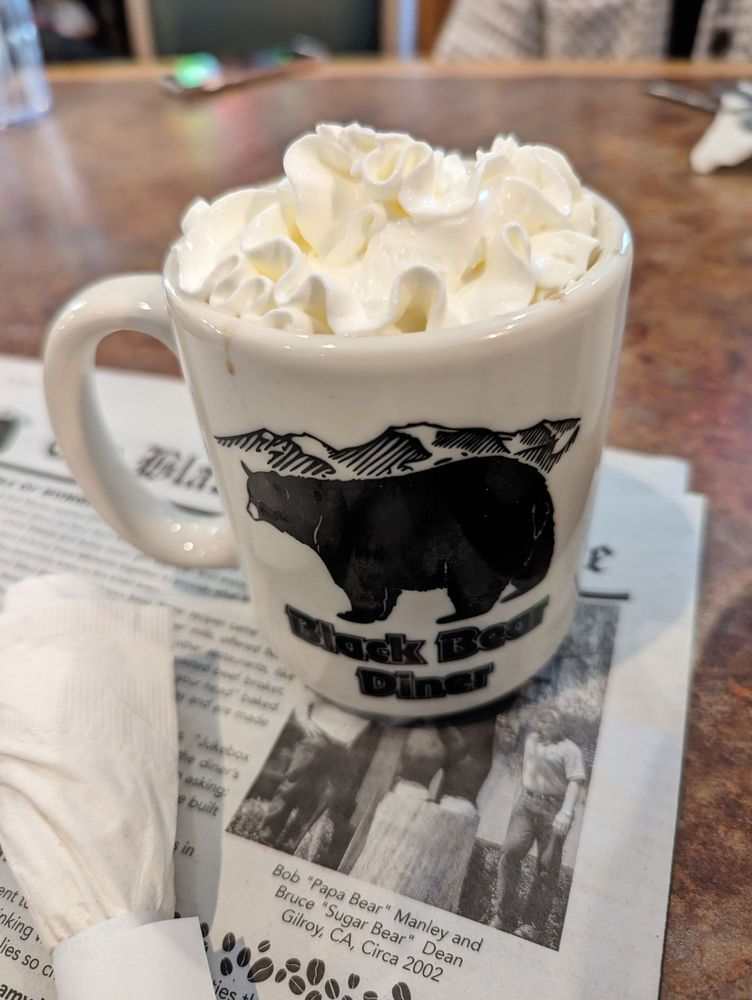 Black Bear Diner – A Cozy, Woodsy Sugar Land Staple with NorCal Charm 
